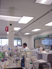 Laboratory 4